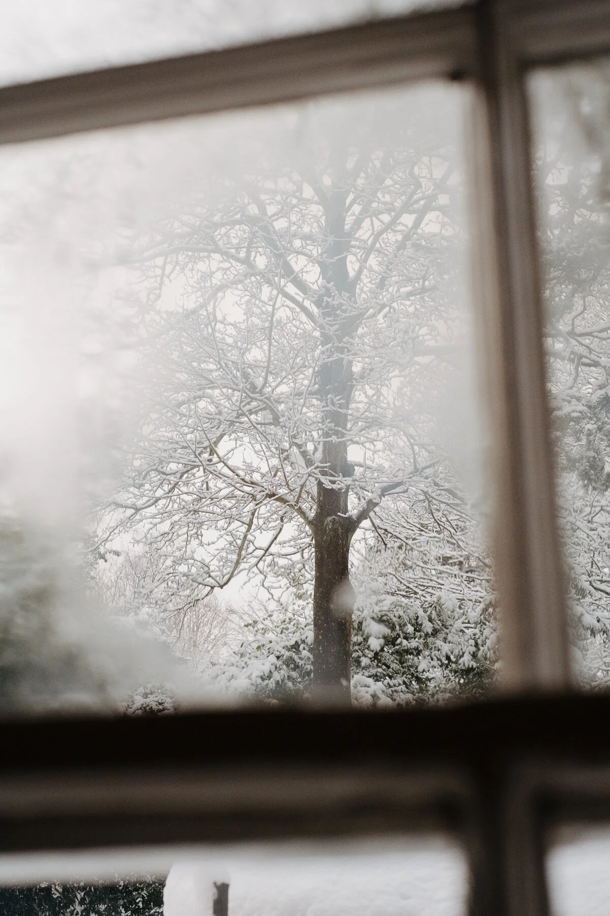 DSCF9795.JPG