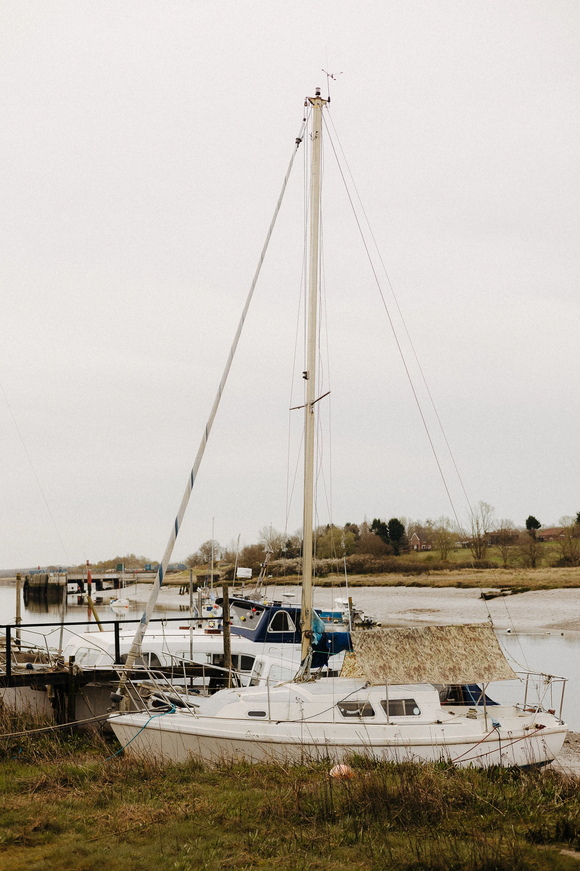 FionaHarmon-7.jpg