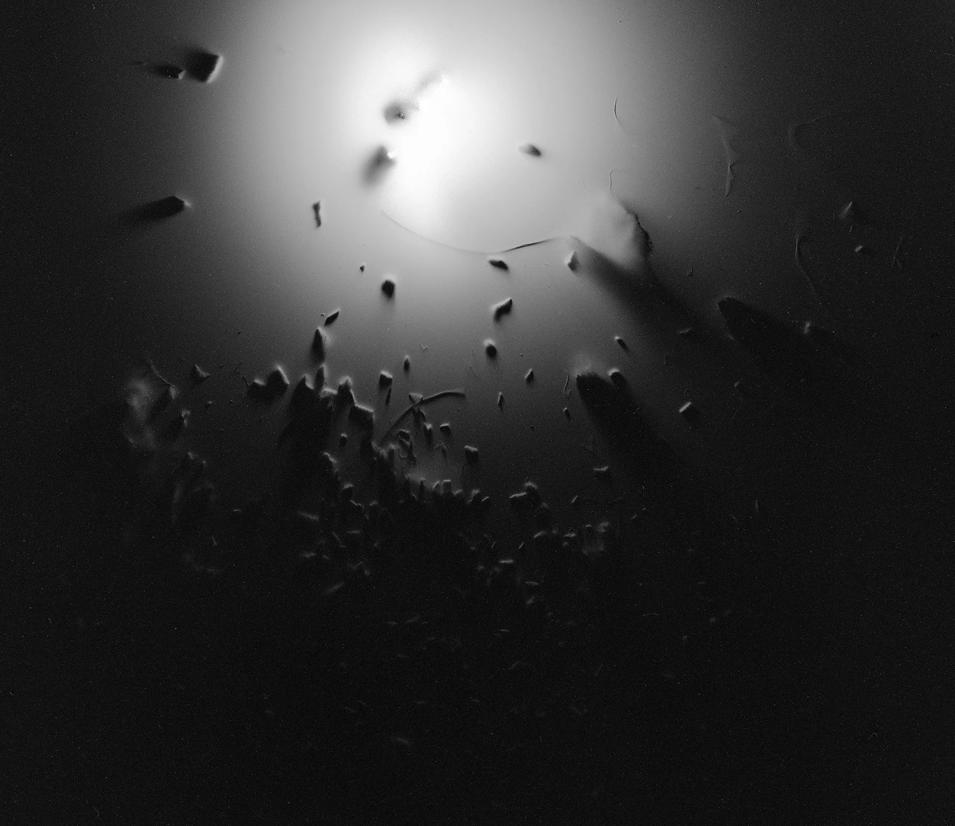 Fire And Earth #12 - 4x5" Fomapan 100 film negative directly exposed via "micro explosions" to sand, ink and saw dust. 