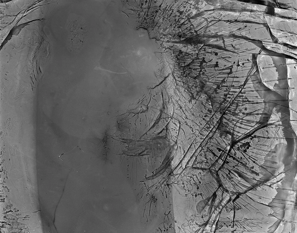 Ice Etching - 4x5" Fomapan 100 Film Negative frozen in a block of ice then exposed to light. 