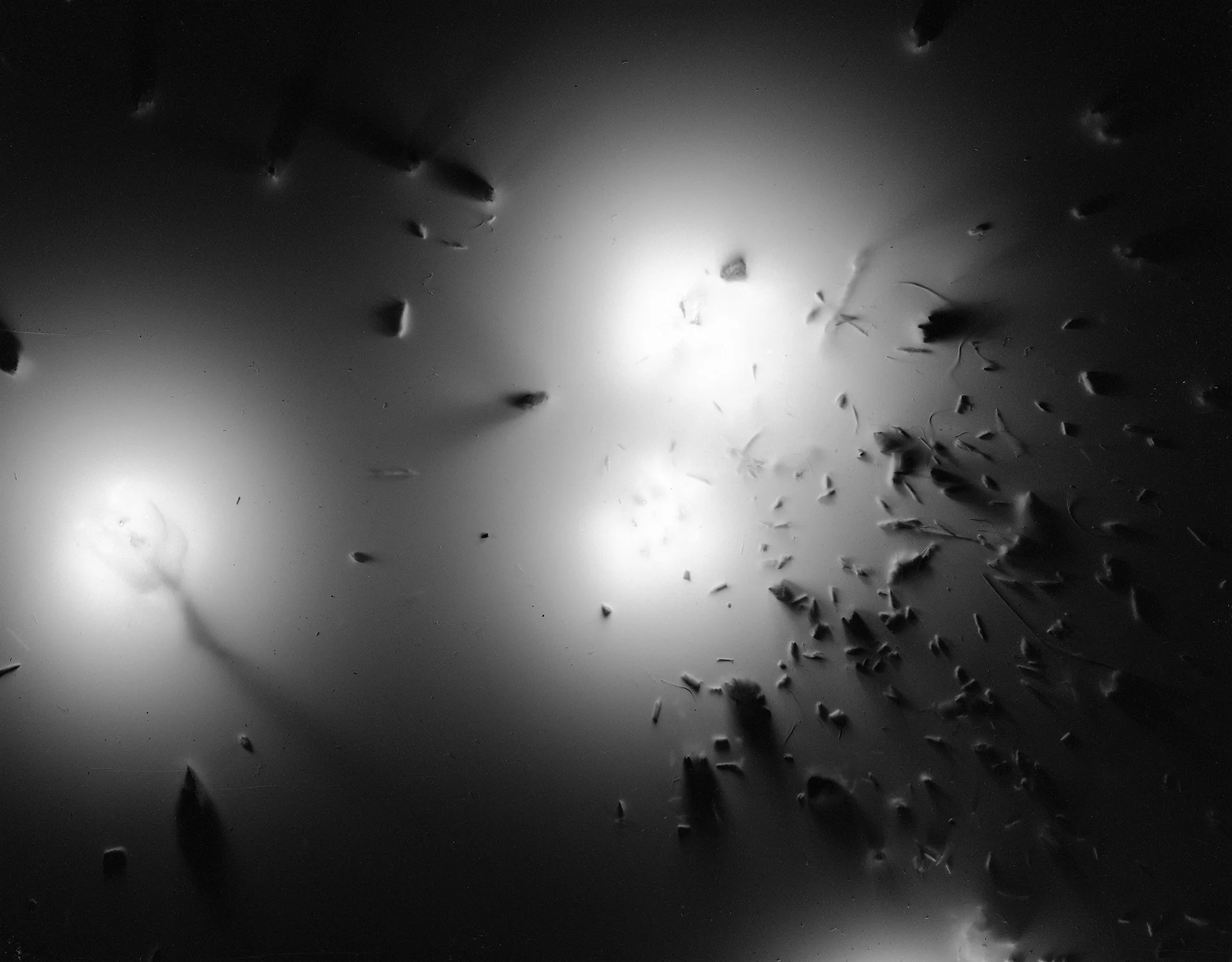 Fire And Earth #16 - 4x5" Fomapan 100 film negative directly exposed via "micro explosions" to sand, ink and saw dust. 