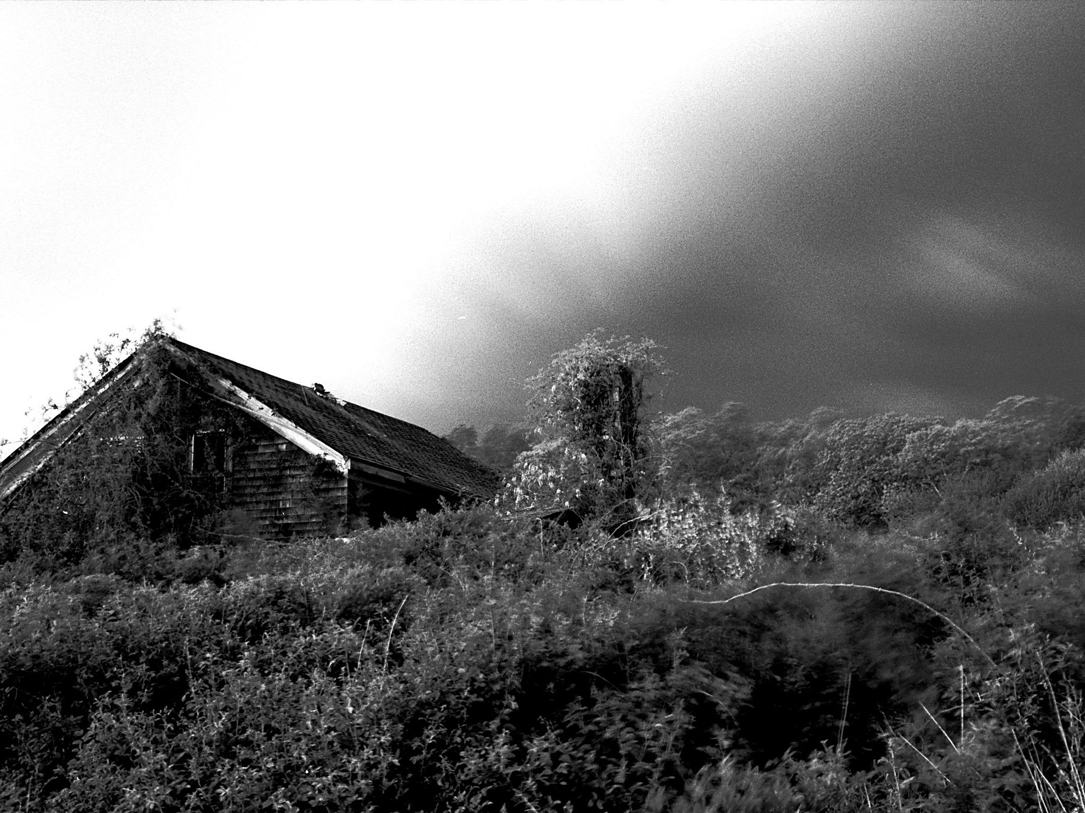 Old Farmhouse, Tiverton,R.I, U.S.A - Silver Gelatin Print. Urban Abandonment, exploring the urban decay and remnants that surround our everyday lives that now live only in our memories. 