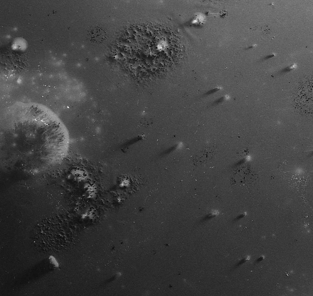 Fire, Carbon And Earth #10 - 4x5" Fomapan 100 film negative directly exposed via "micro explosions" to sand and carbon. 