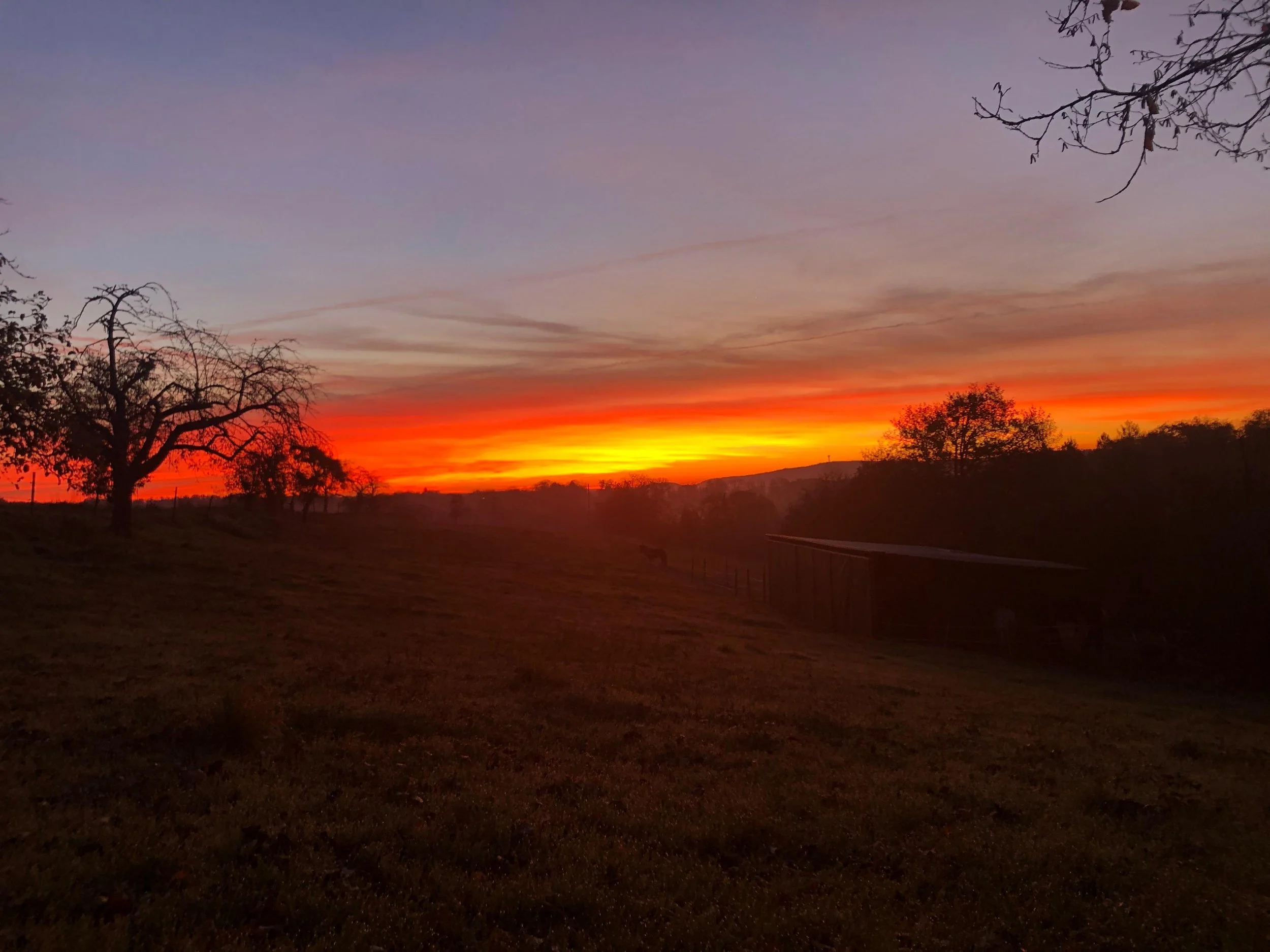 WhatsApp Image 2025-12-19 at 10.24.43.jpeg