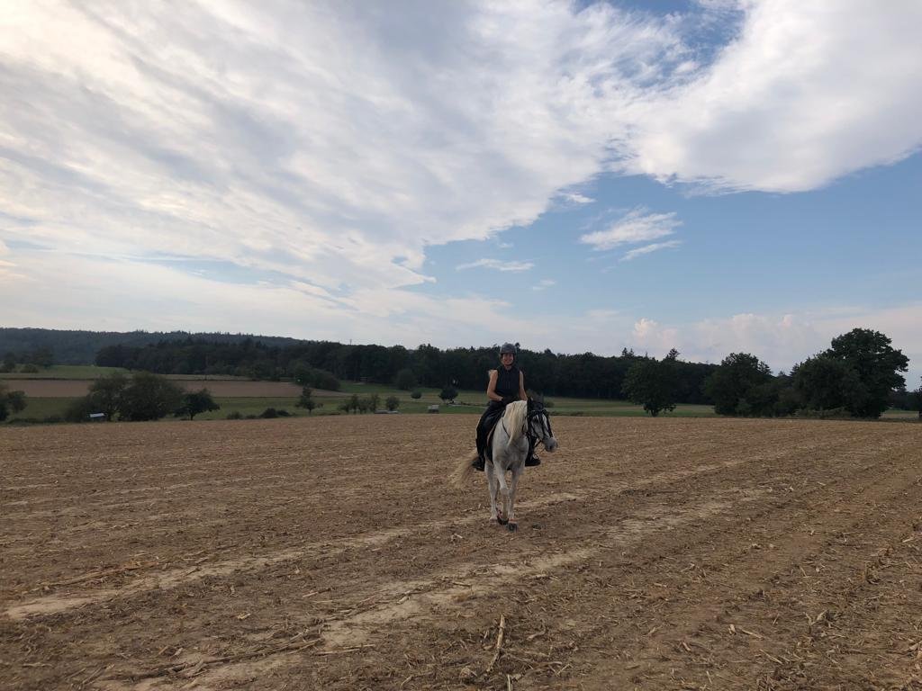 Reiter mit Pferd reiten entspannt über ein abgeerntetes Maisfeld, im Hintergrund sind weitere Felder und Wald