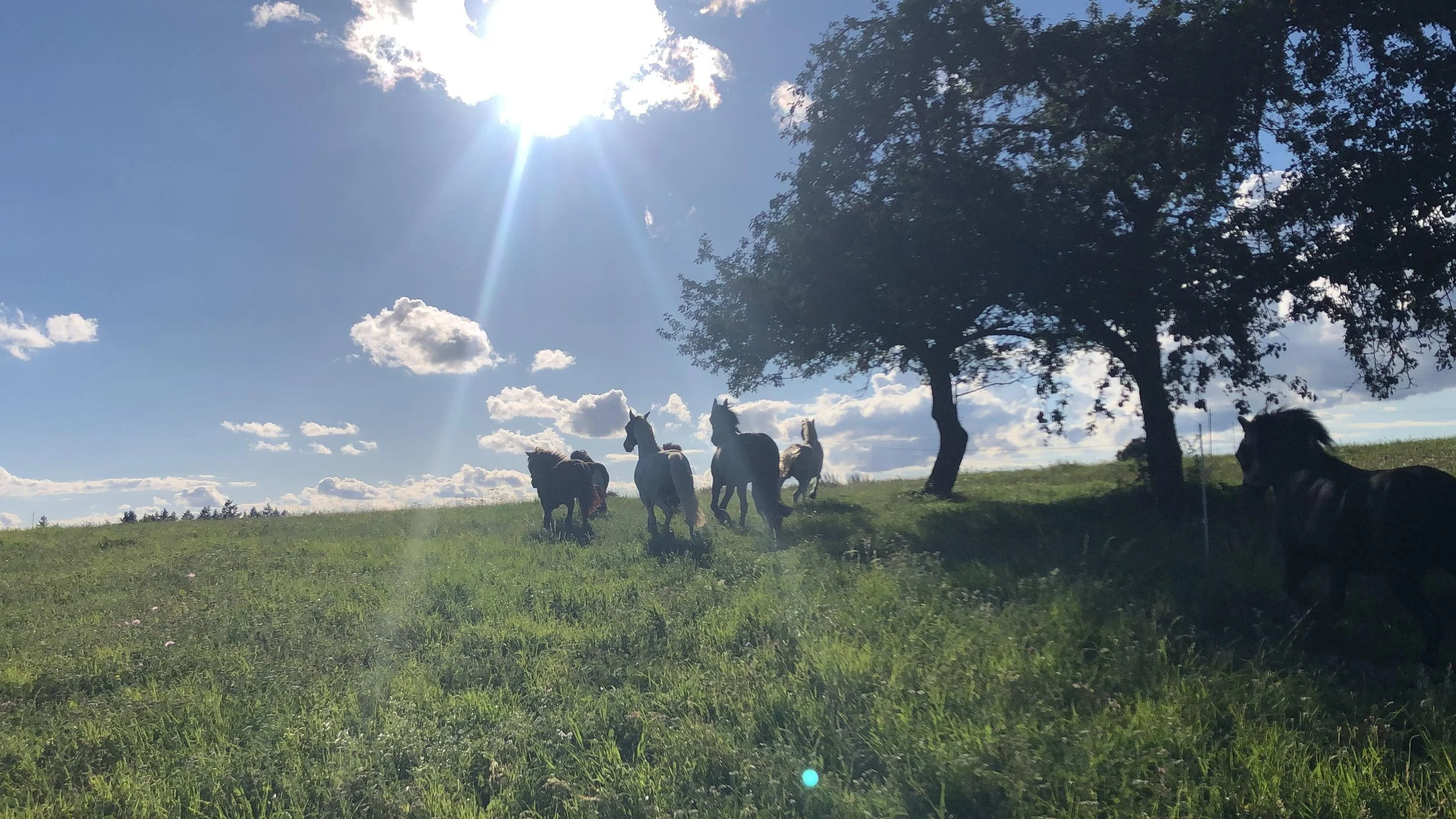 WhatsApp Image 2025-12-19 at 10.15.05 (1).jpeg