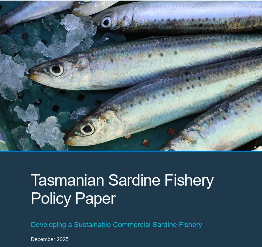Sardines, SBT and snapper - driving an unmeasured economy