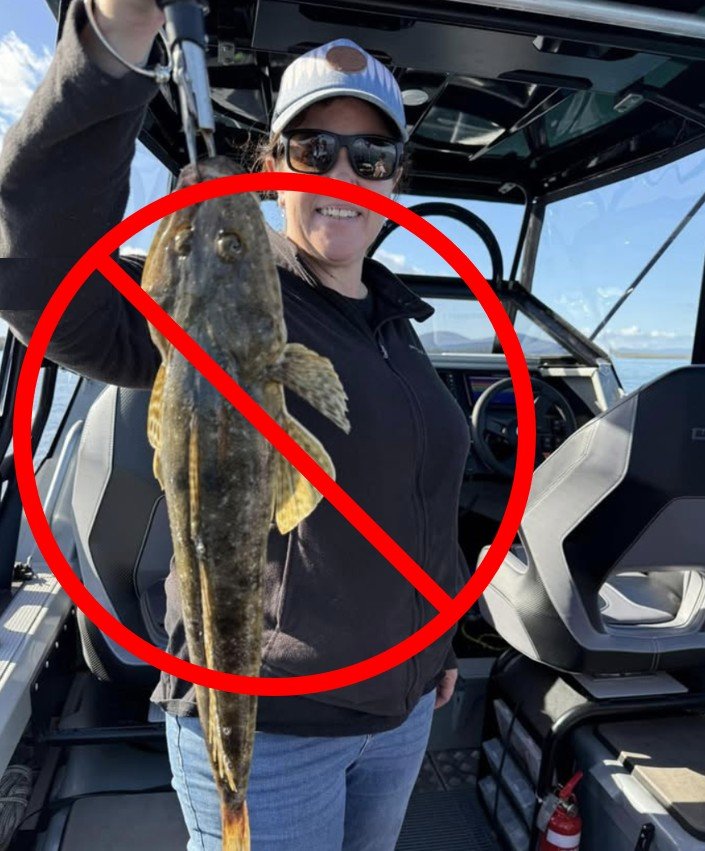 TARFish submission to sand flathead ban