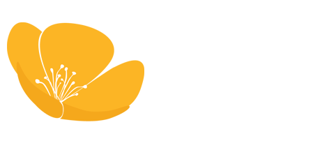 Buttercup Therapy