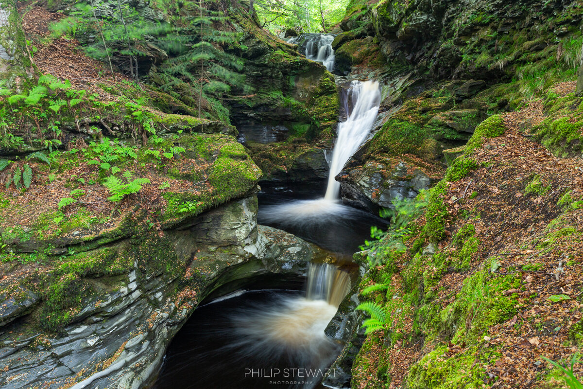 26052019_MG_4526_low res.jpg