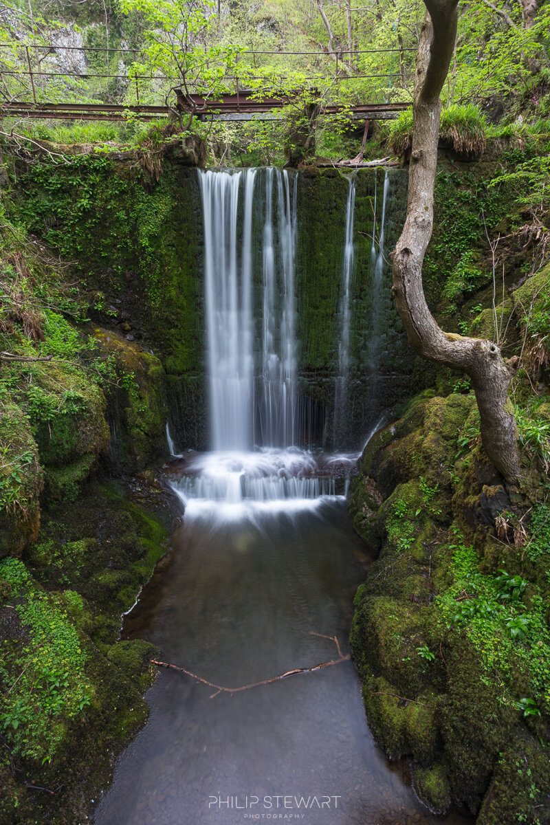 01052019_MG_2971_low res.jpg