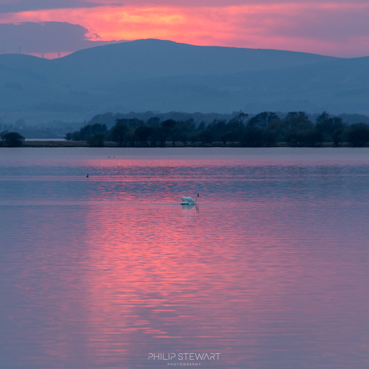 19042019_MG_1777_low res.jpg