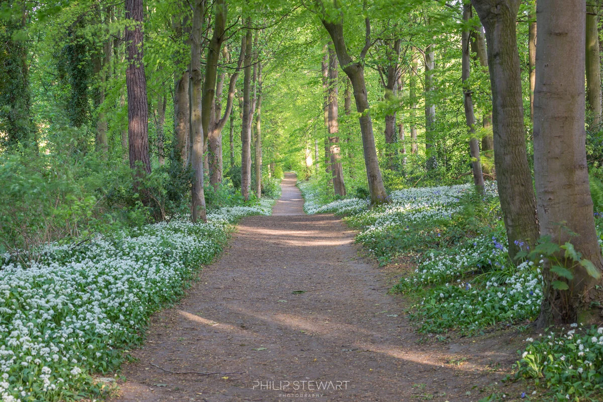 Dalkeith Country Park