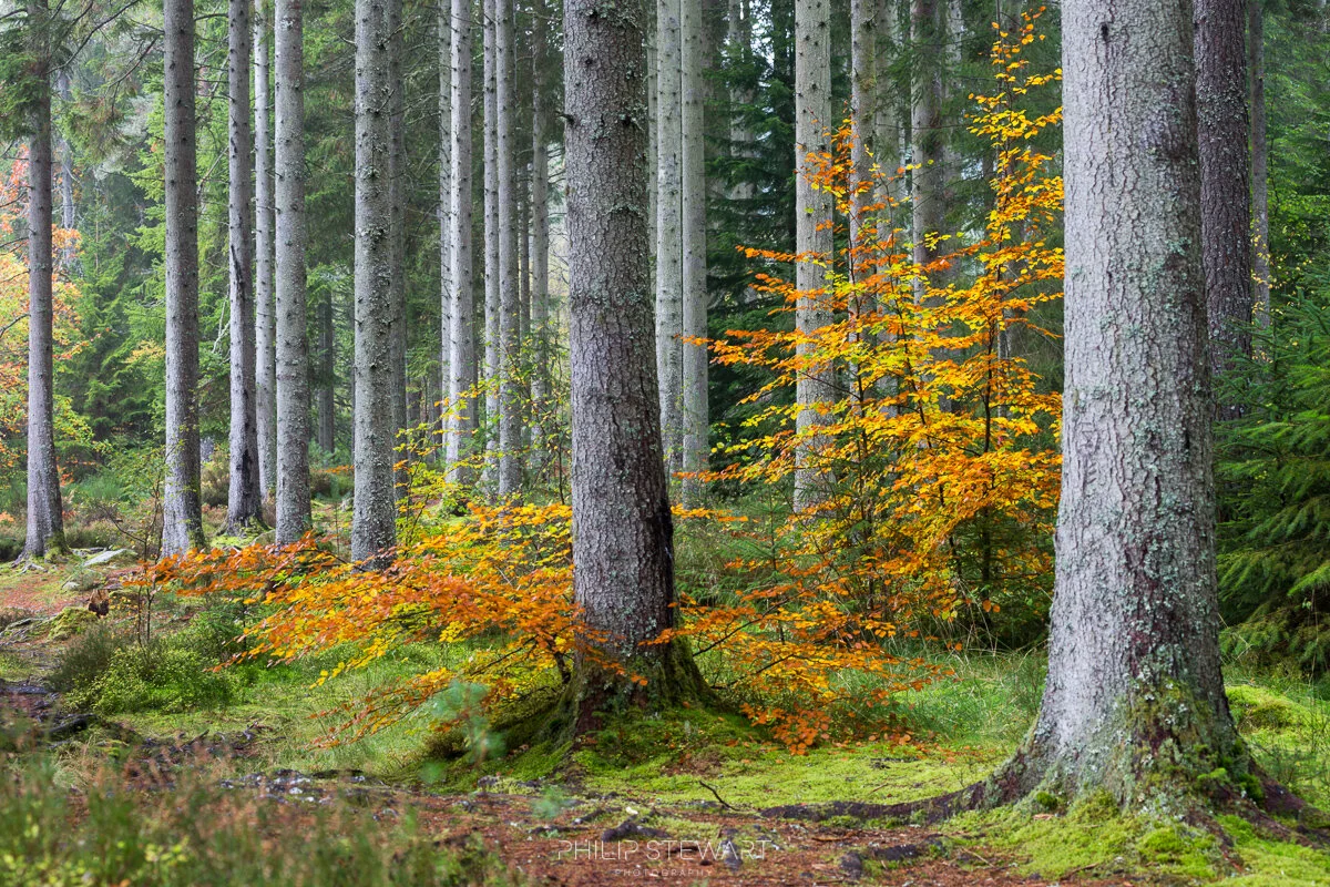 22102016_MG_9865_low res.jpg