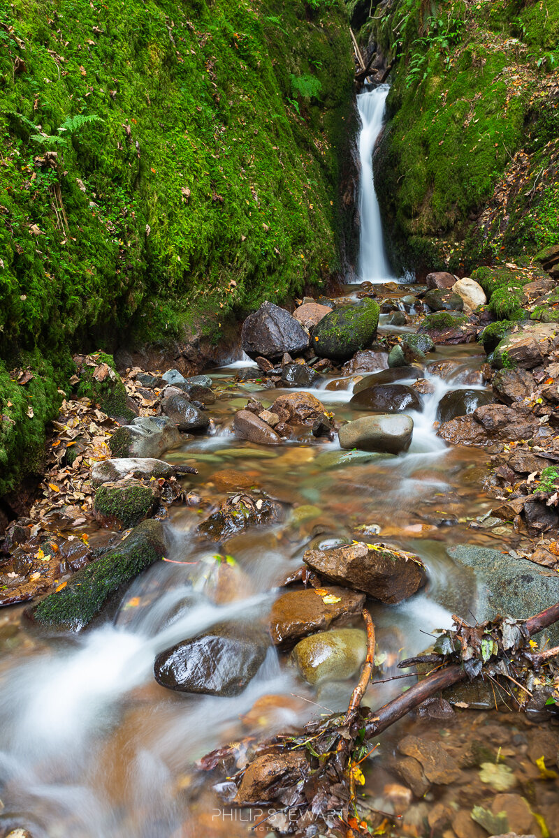 _MG_8592_low res.jpg