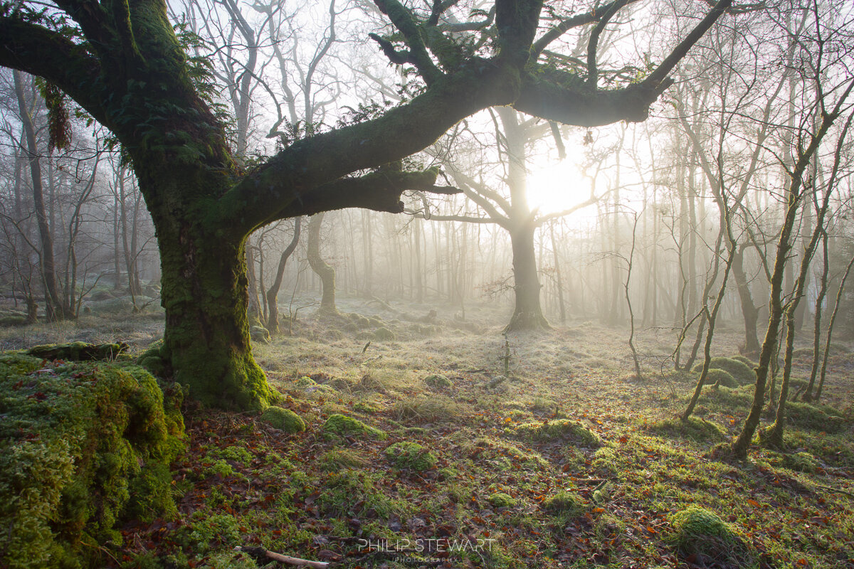 29_12_2014_9999_157_low res.jpg