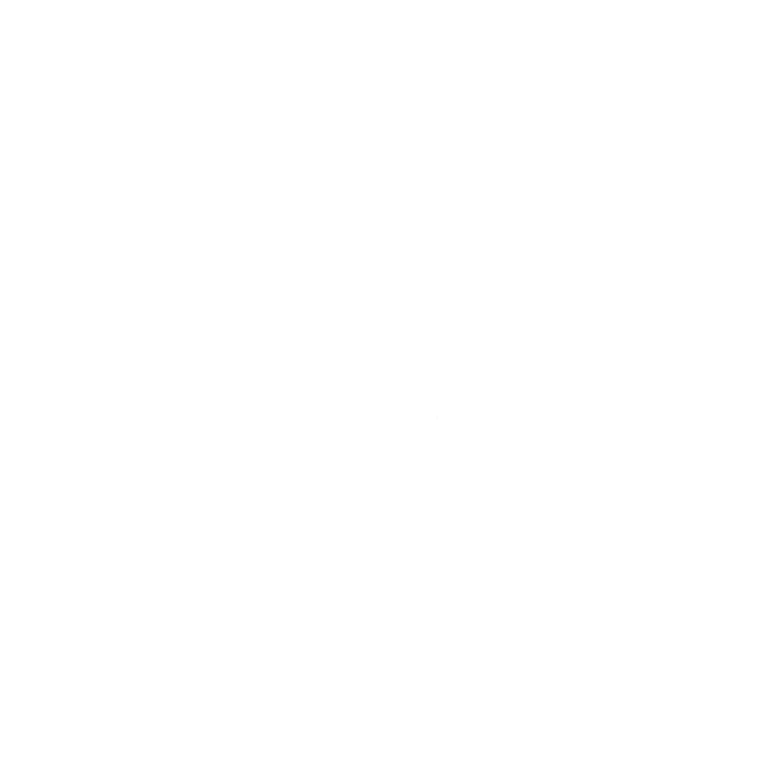 edin airport.png