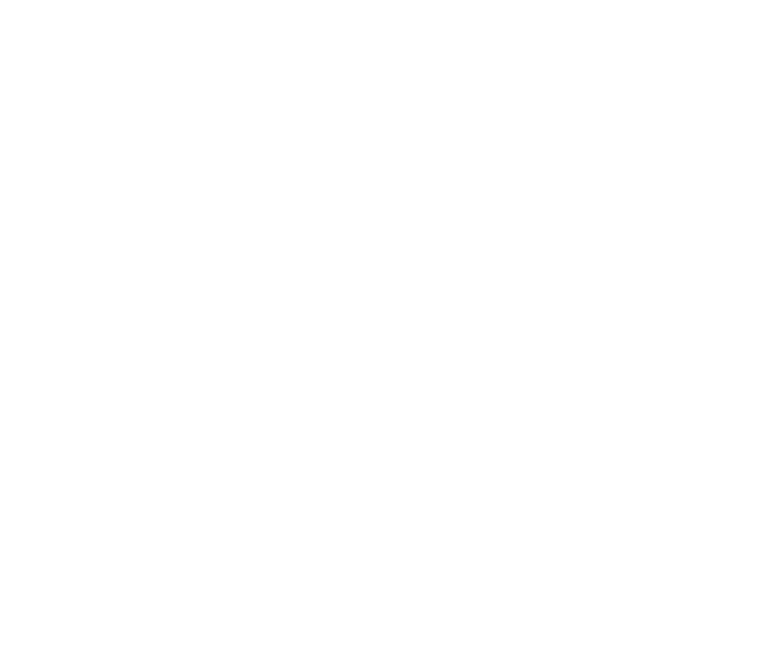 logo-careynW.png
