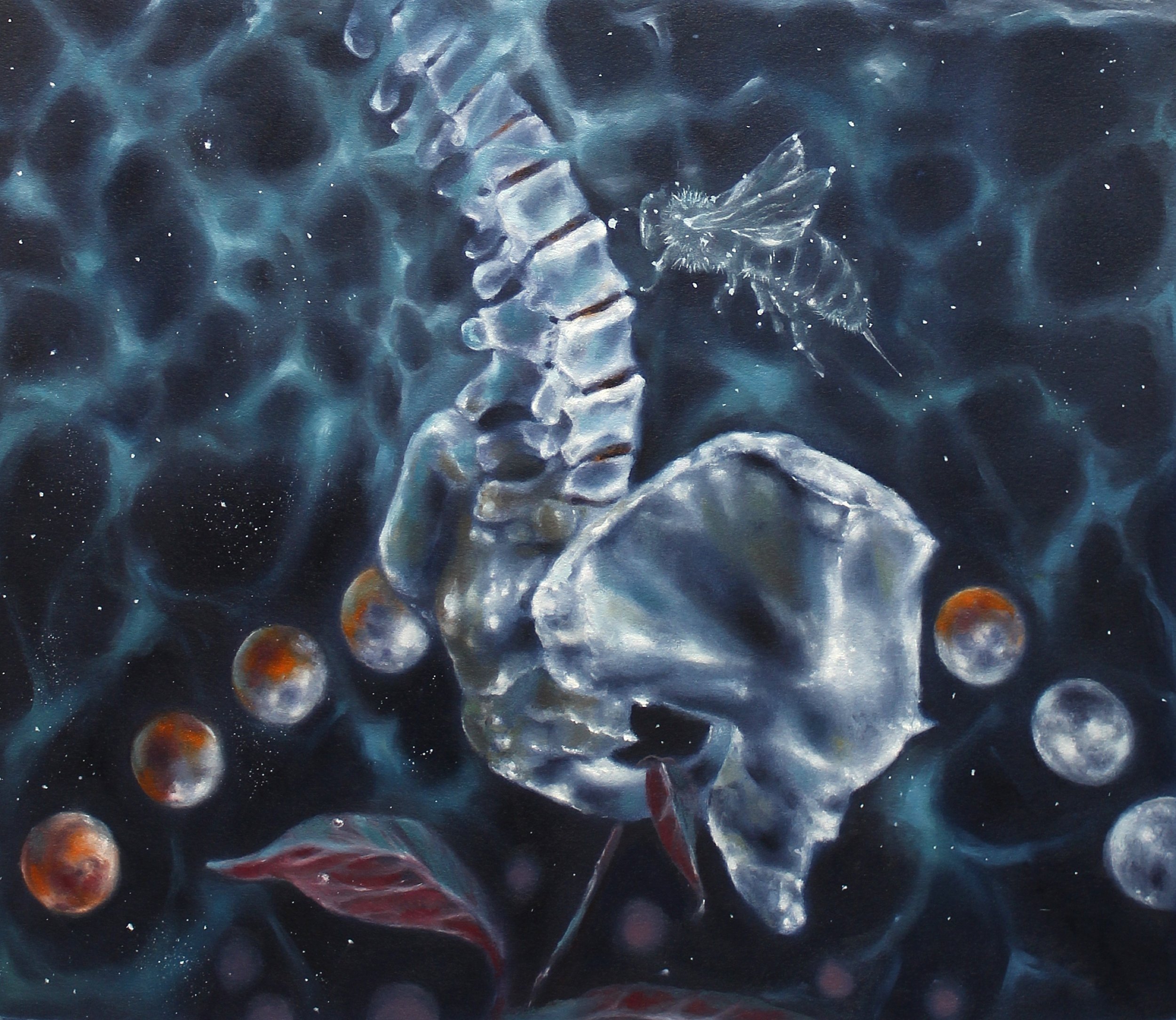 BLACKBODY: APIS CONSTELLIO, HOW MANY MORE MOONS 
OIL ON PAPER
15 X 15