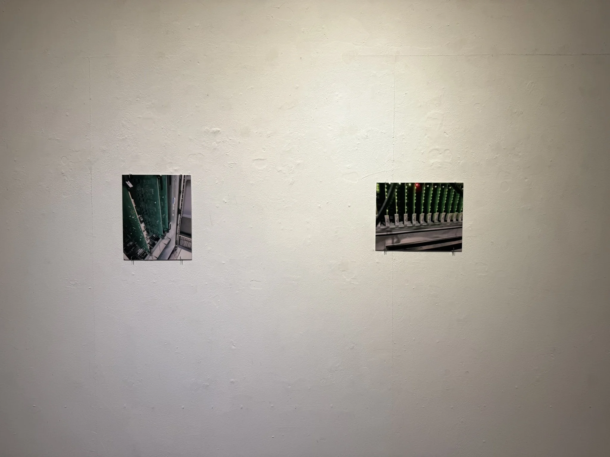 IMG_5881.JPEG