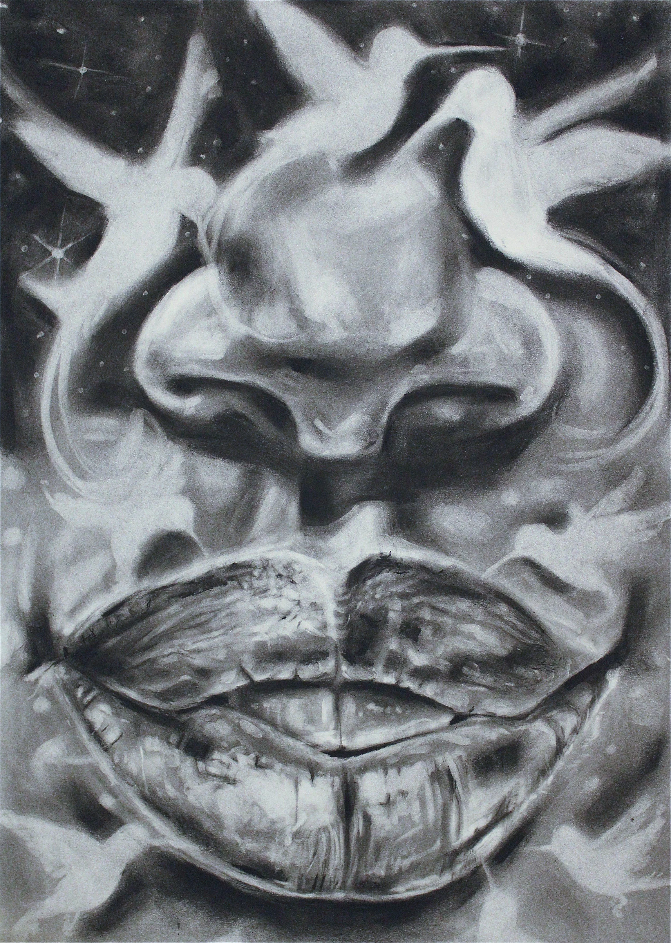 BLACKBODY- LIPS OF COAL