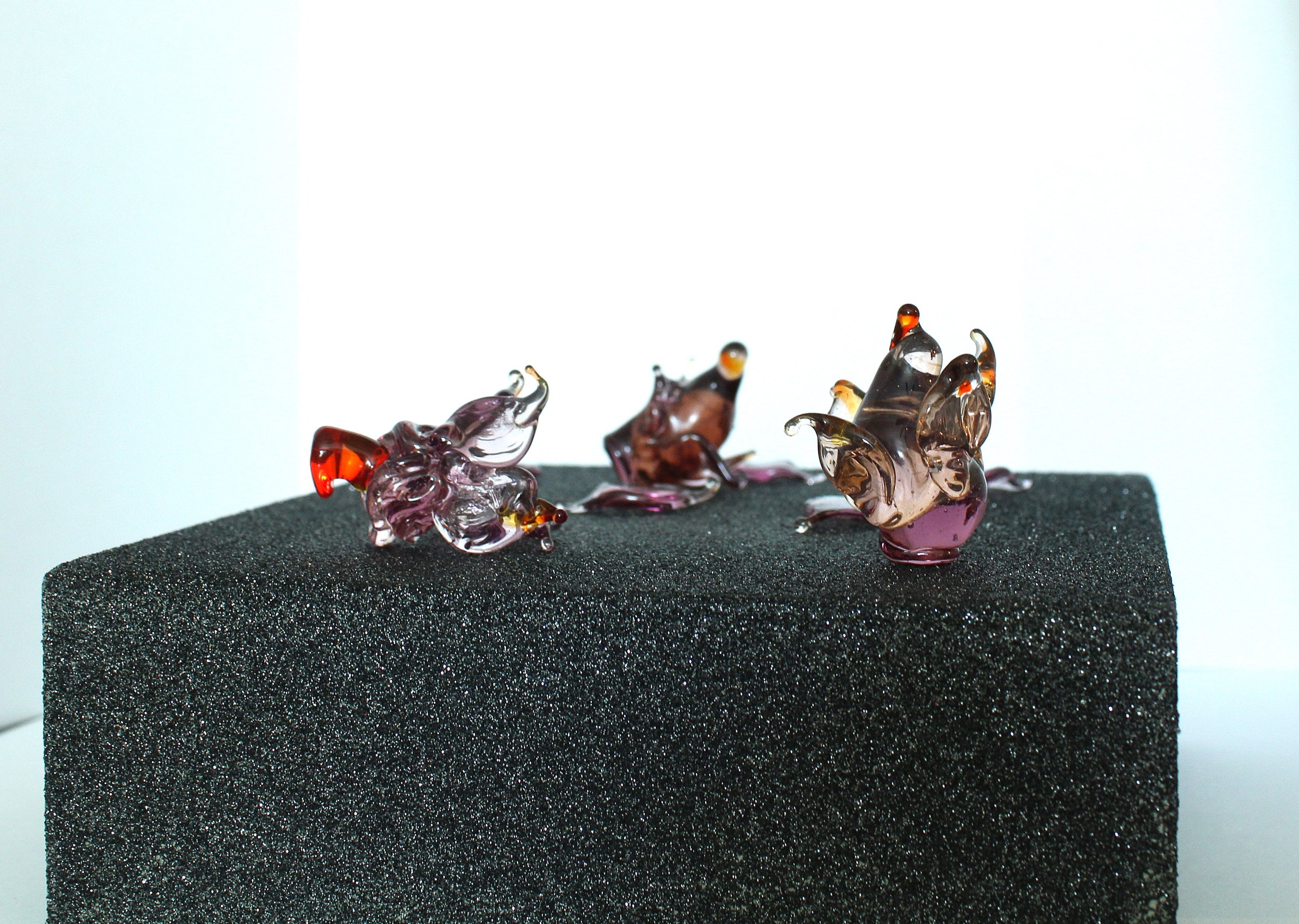 BLACKBODY - GALACTICAL WITHERED FLOWERS Glass, Wood 5 x 5 x 2 Donated To Freeport Museum 2024