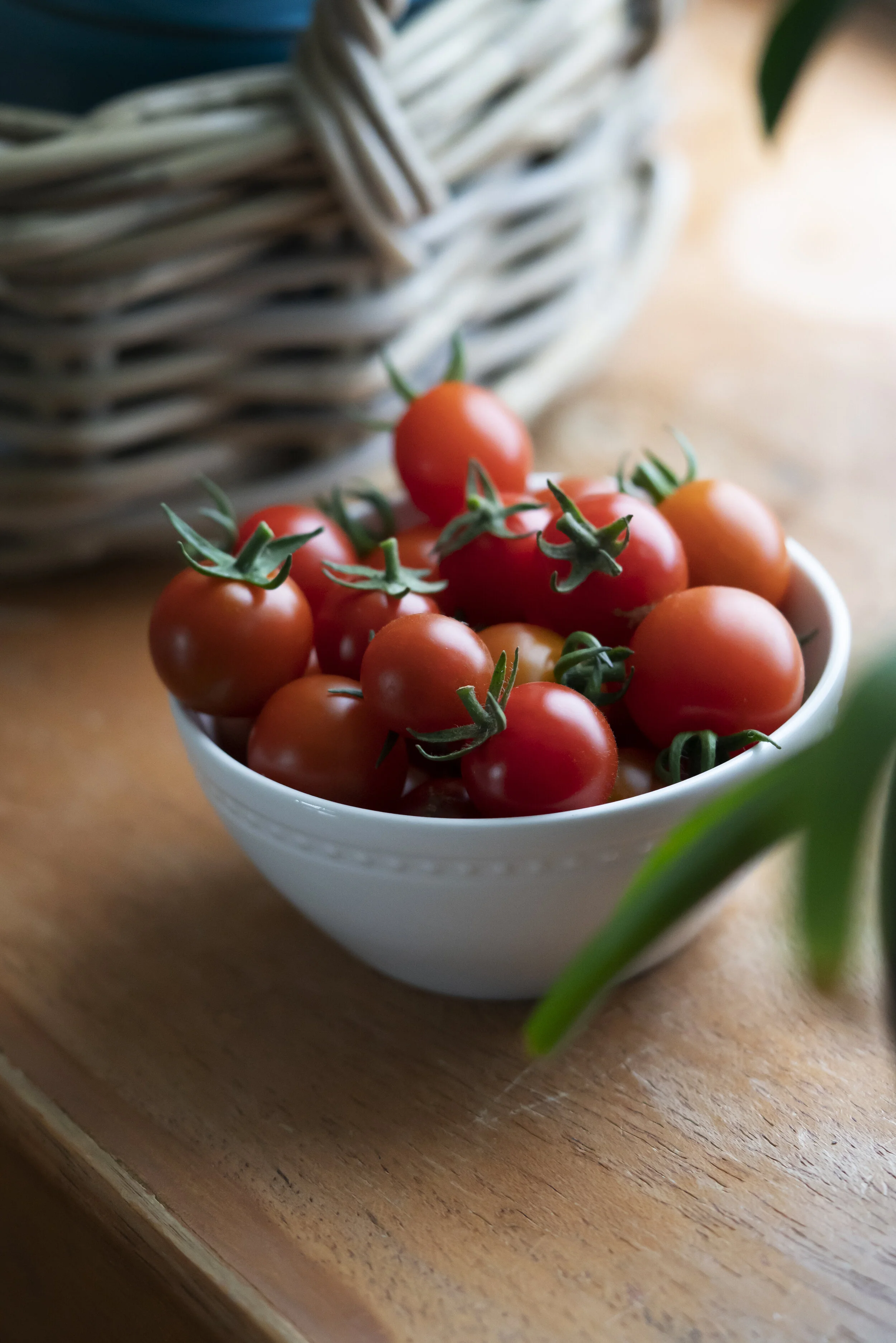 tomato_DSC04453 copy.jpg