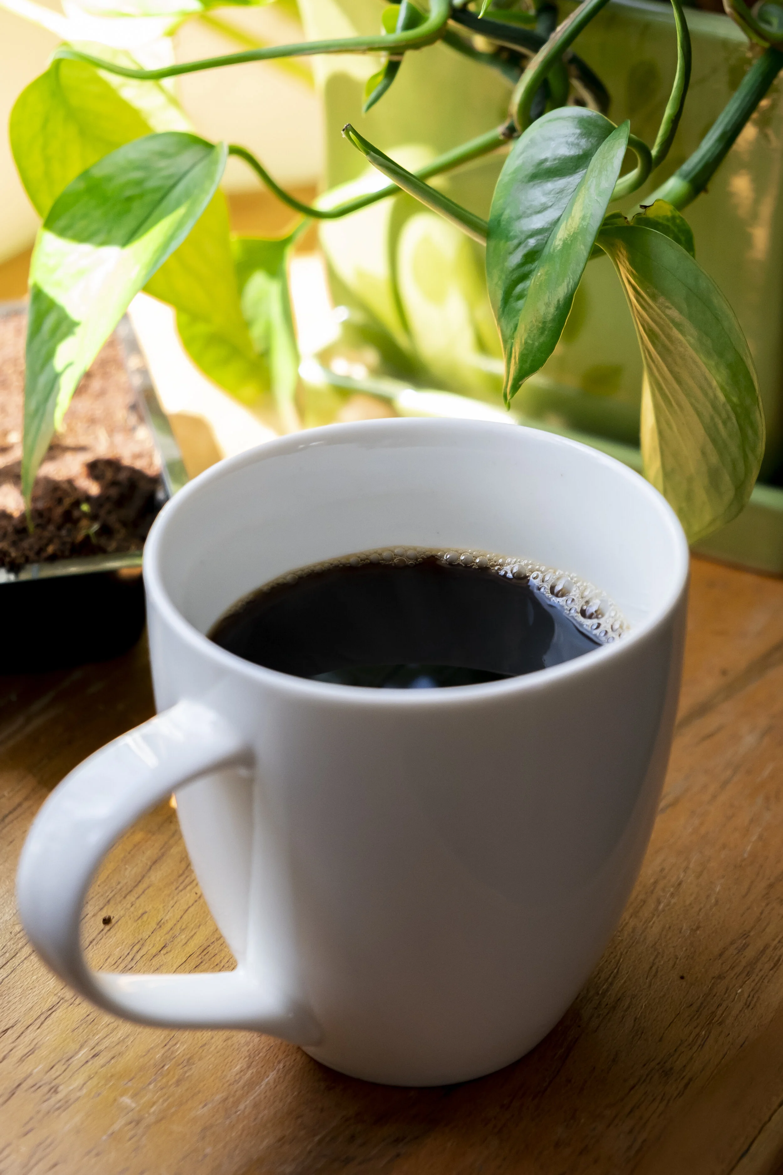 black coffee.jpg