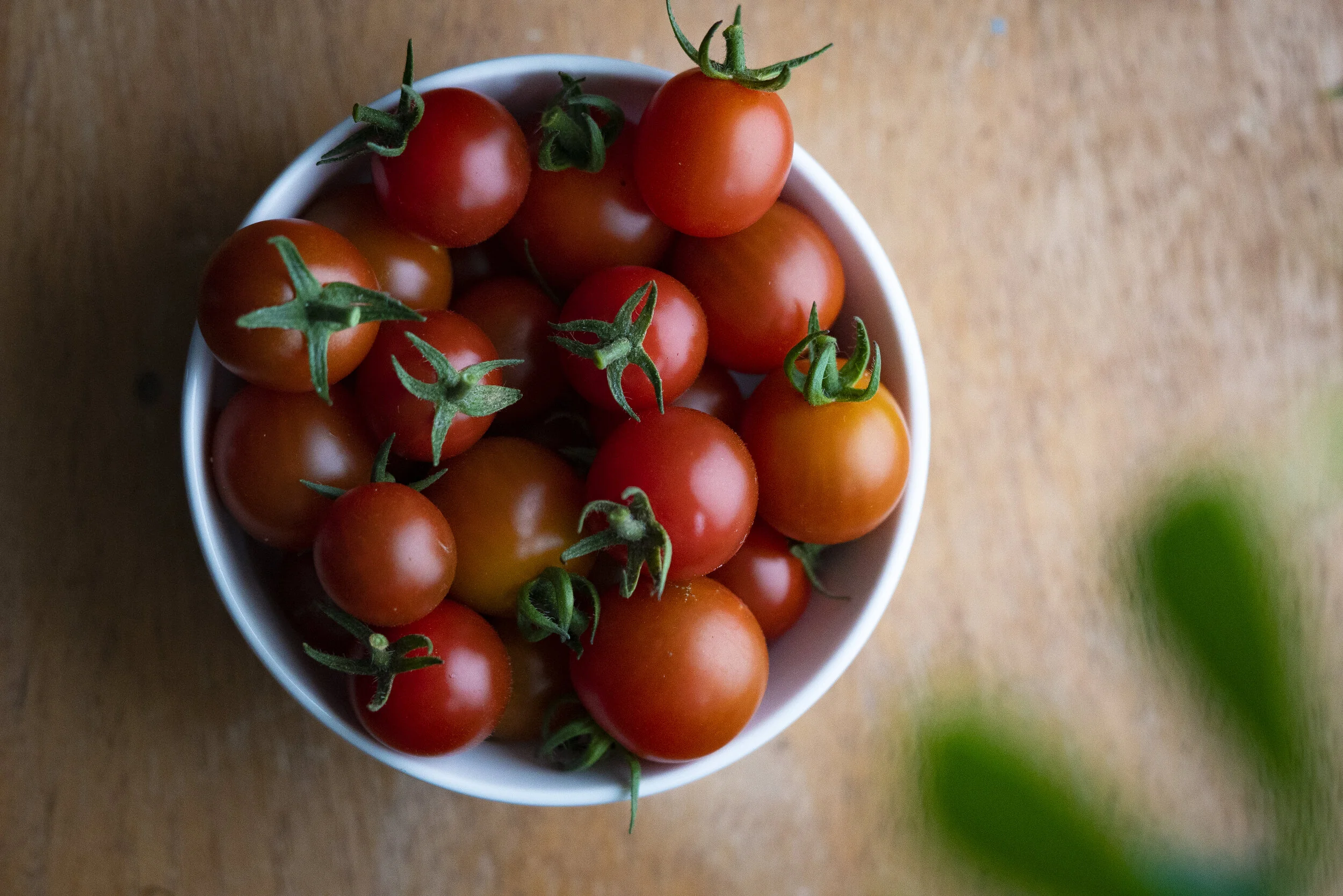 tomato_DSC04440.jpg