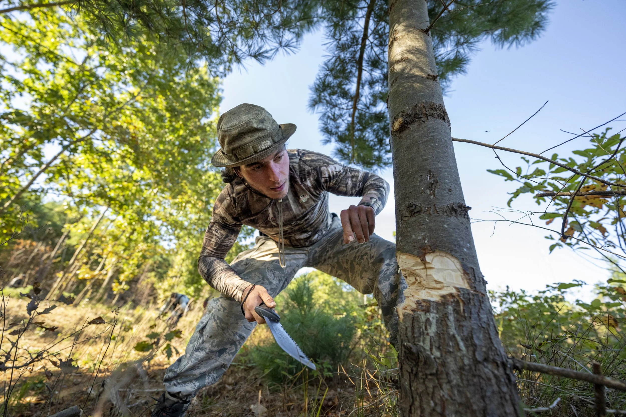 20241009_Eco_Restoration_Norfolk_NCC_8767.jpg