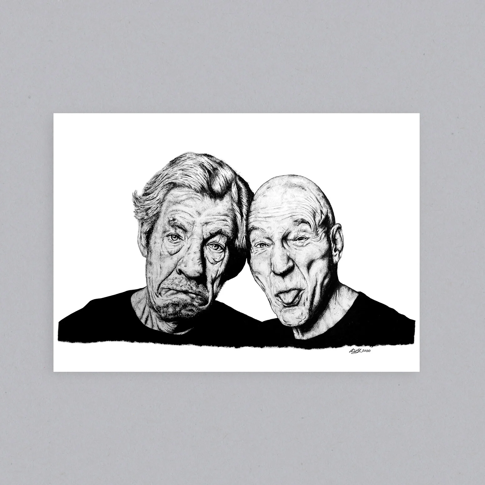 Ian McKellen Patrick Stewart mockup.jpg