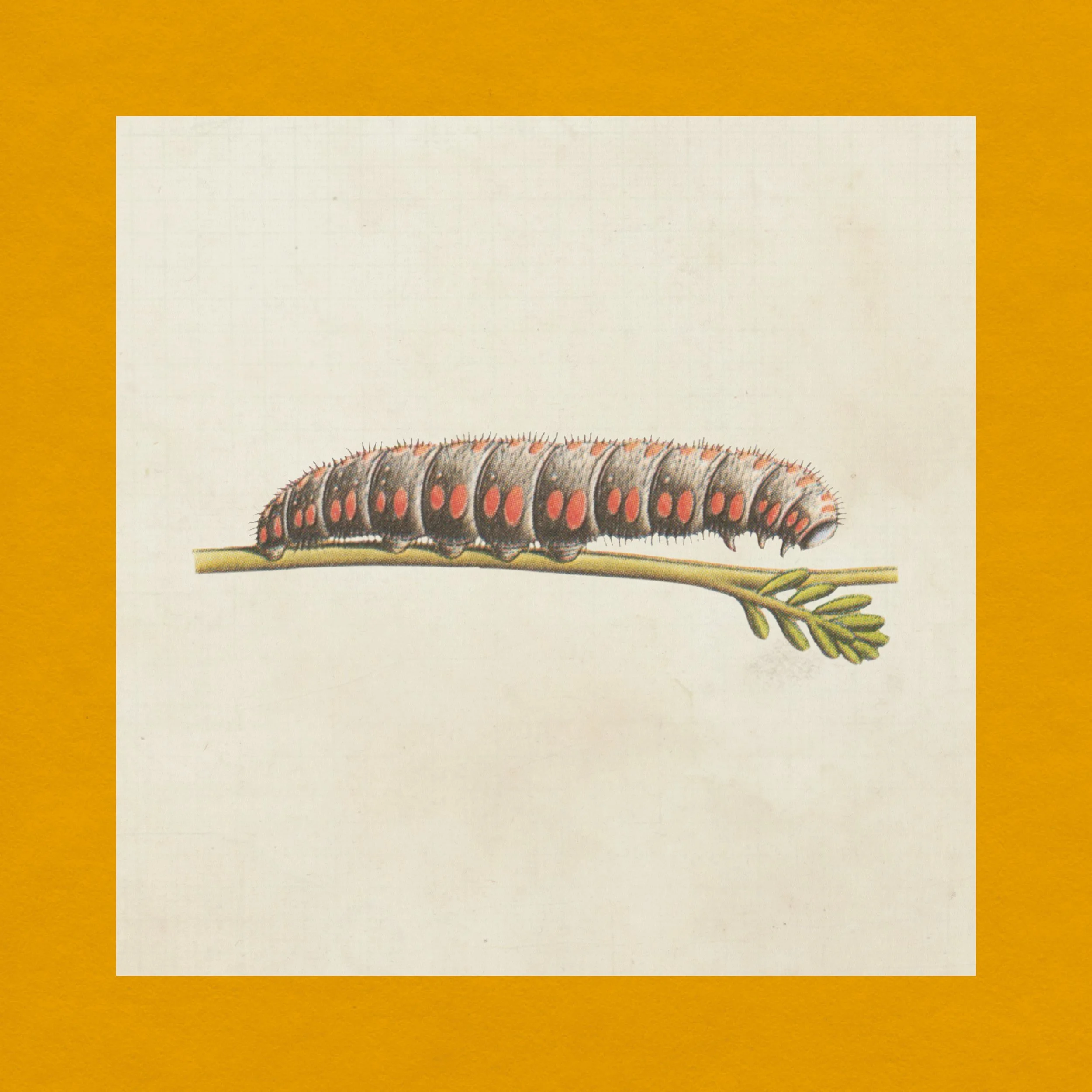 The Liftmen Golden Token LP Mockups_IG10.jpg