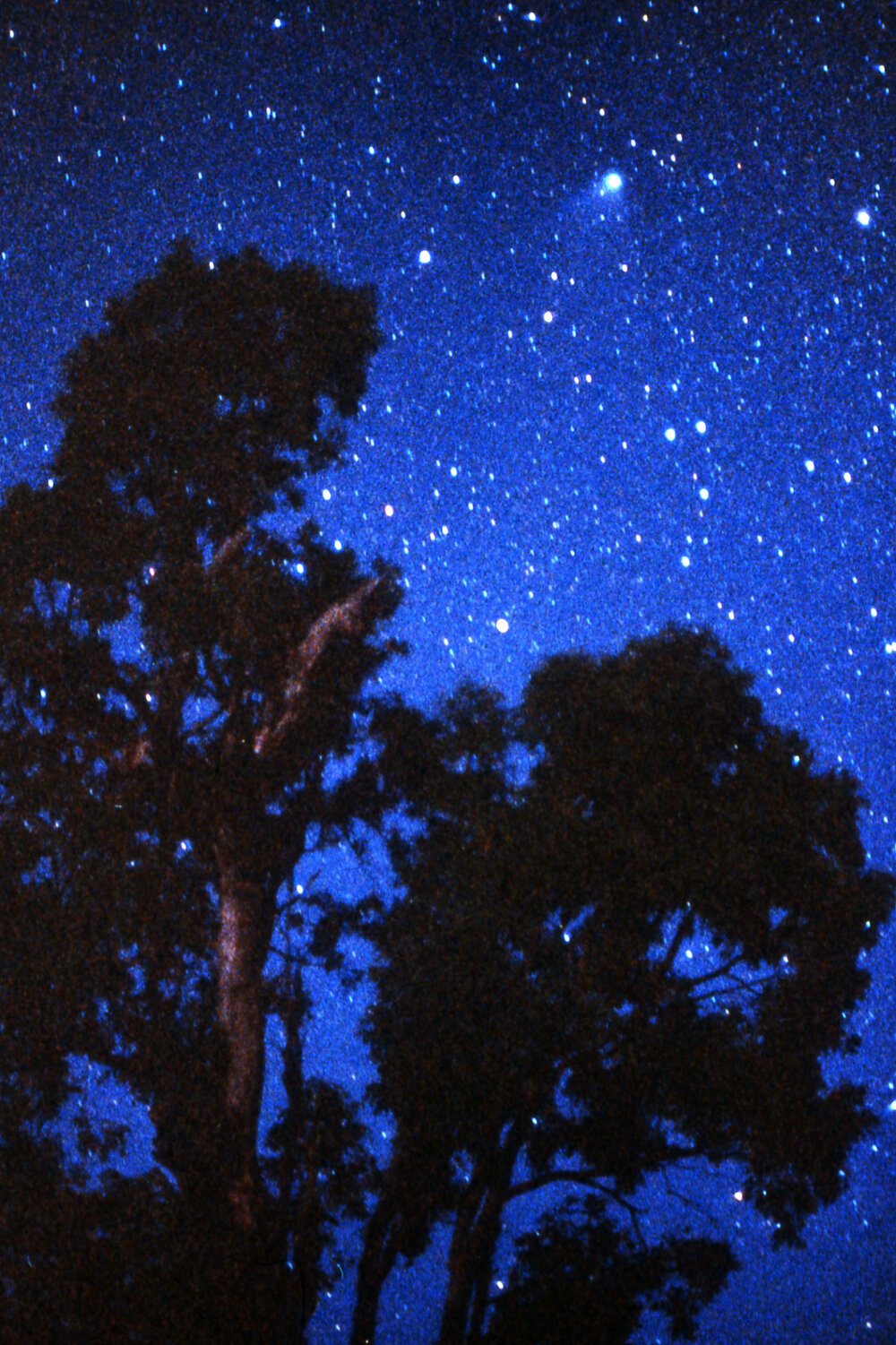 Halley's Comet from Coonabarabran, NSW