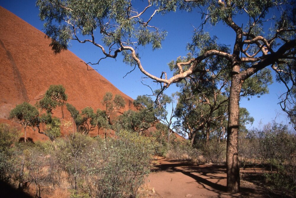 Outback near Uluru