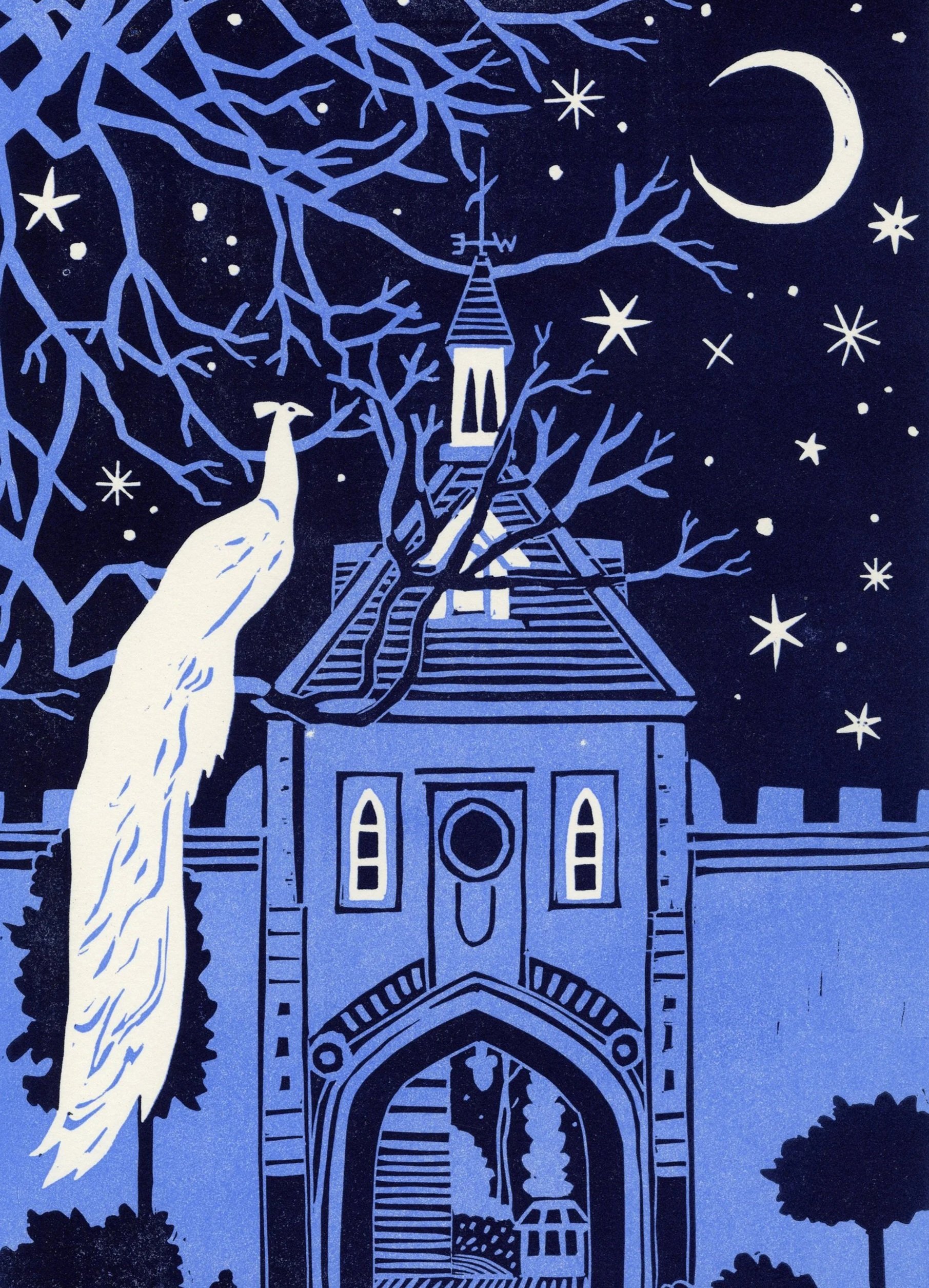 A blue and white illustration of a peacock. In the background is clocktower with a tall steeple, surrounded by trees with a starry night sky, a crescent moon, and star shapes in the background.