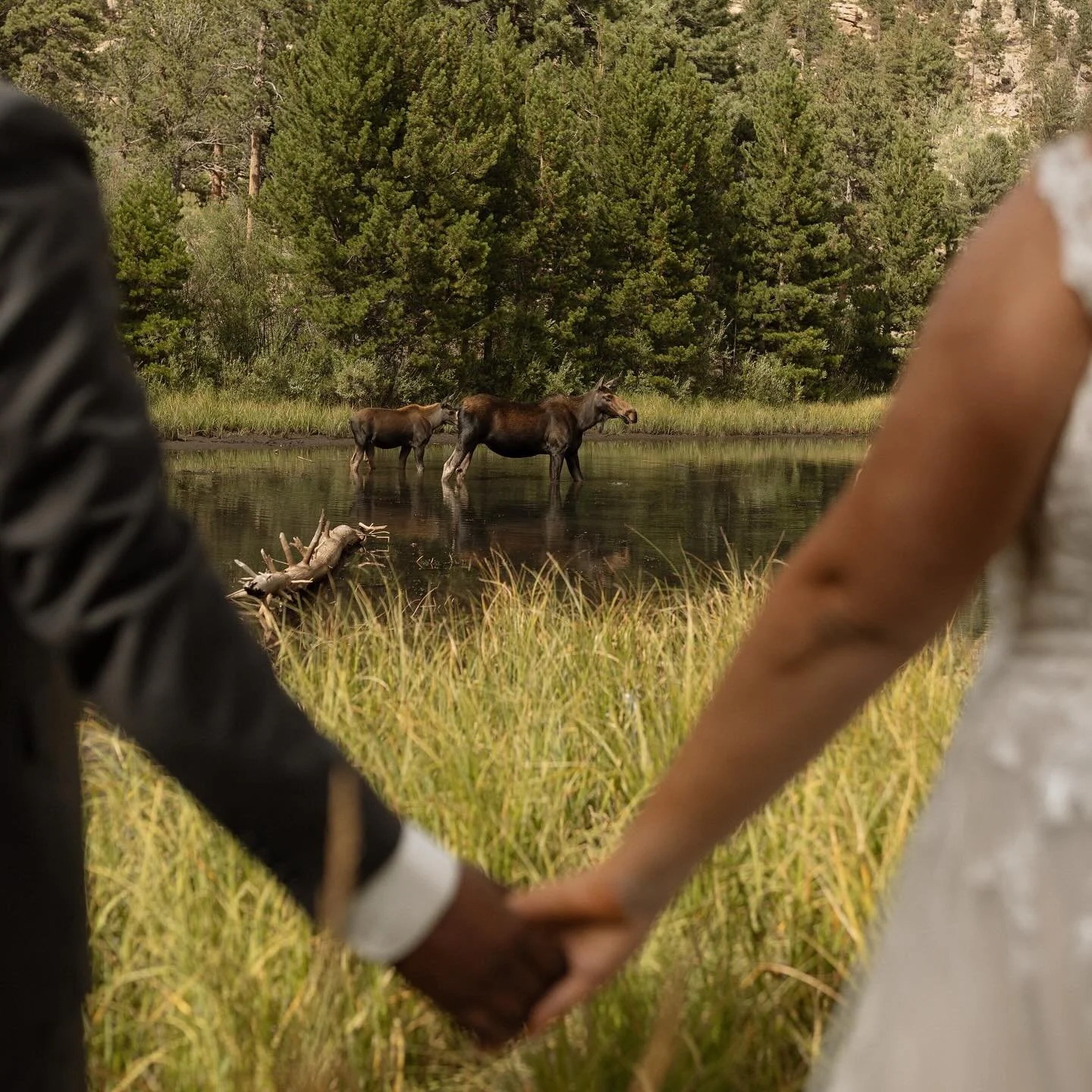 A year ago today I stepped out of a rocky mountain cabin, smelled the mountain air that can&rsquo;t be matched, and watched the most incredible sunrise. Then I went and photographed Emily + Kylen&rsquo;s beautiful wedding day with their closest famil