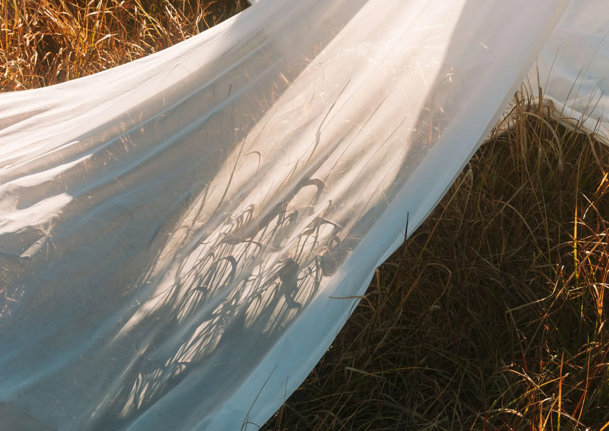LONGWEDDINGVEIL.jpg