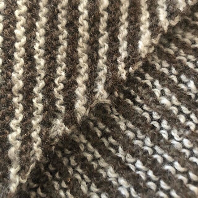 Somebunny&rsquo;s shawl. 97% Finn wool, 3% angora, fingering weight. Delicious. #waitingforlambs #lambingseason #knittersofinstagram #finnsheep #luxuryyarn
