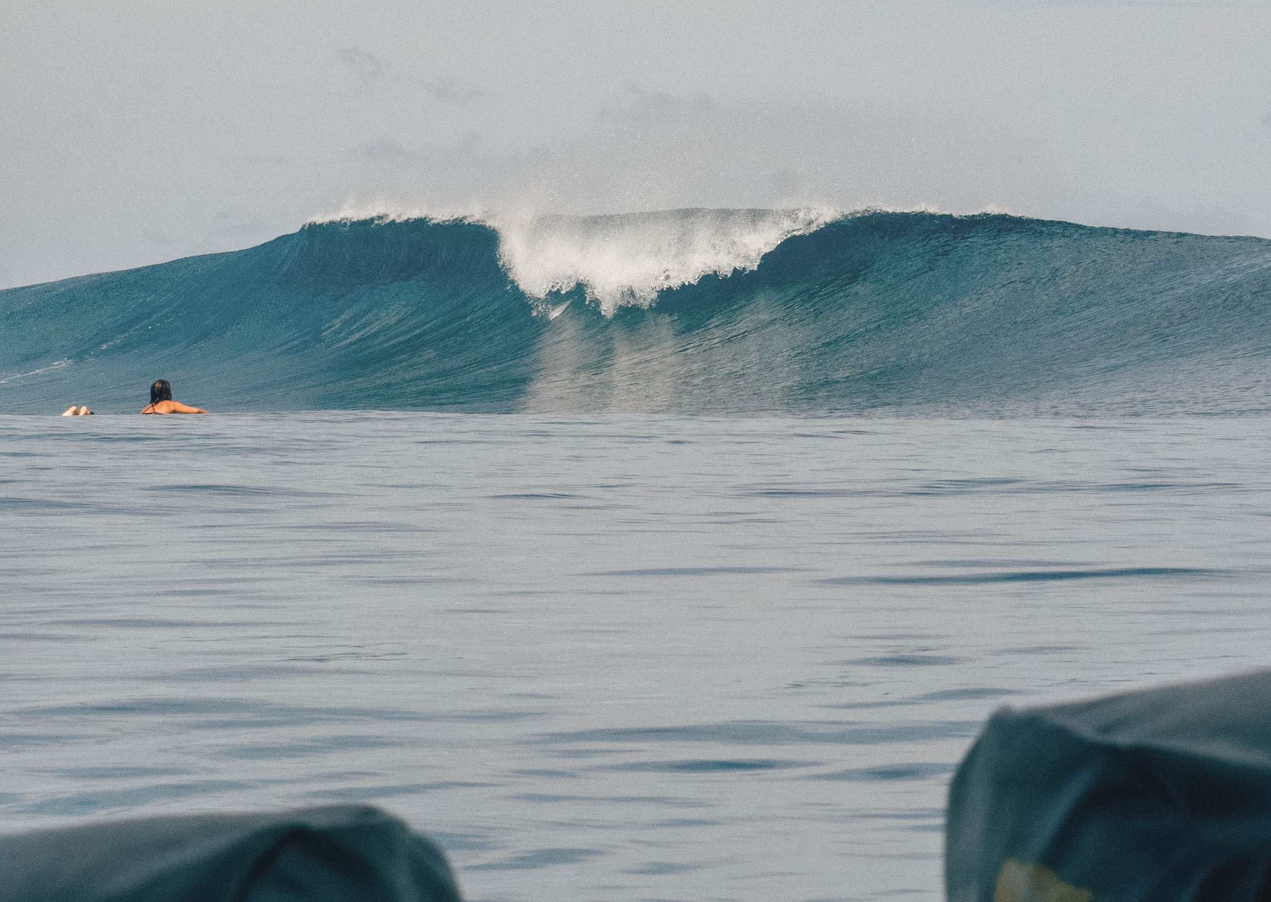 Surf trip Mentawai - Waves