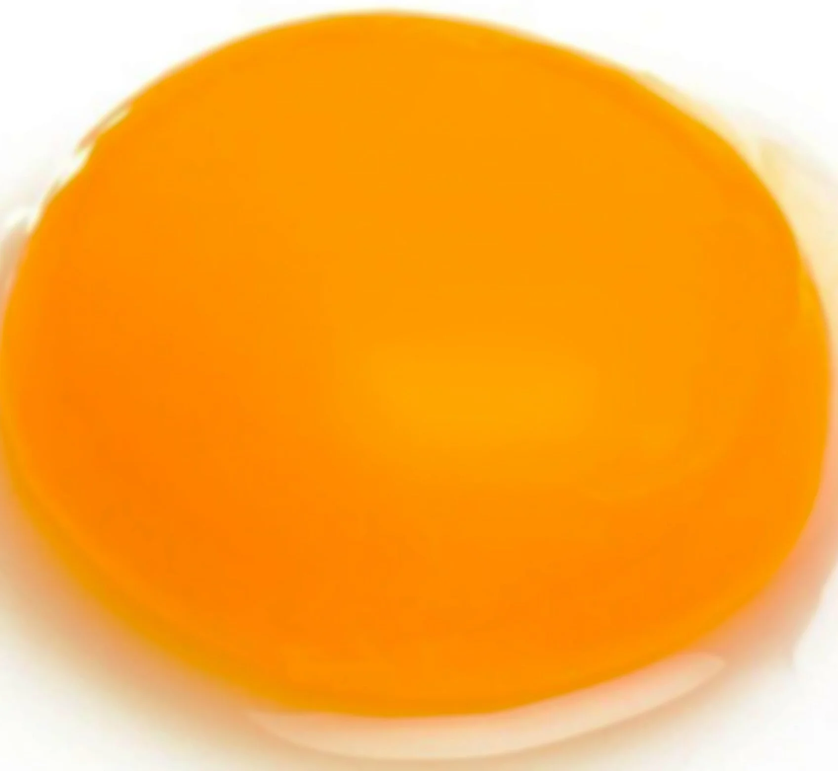 yolk4.jpg