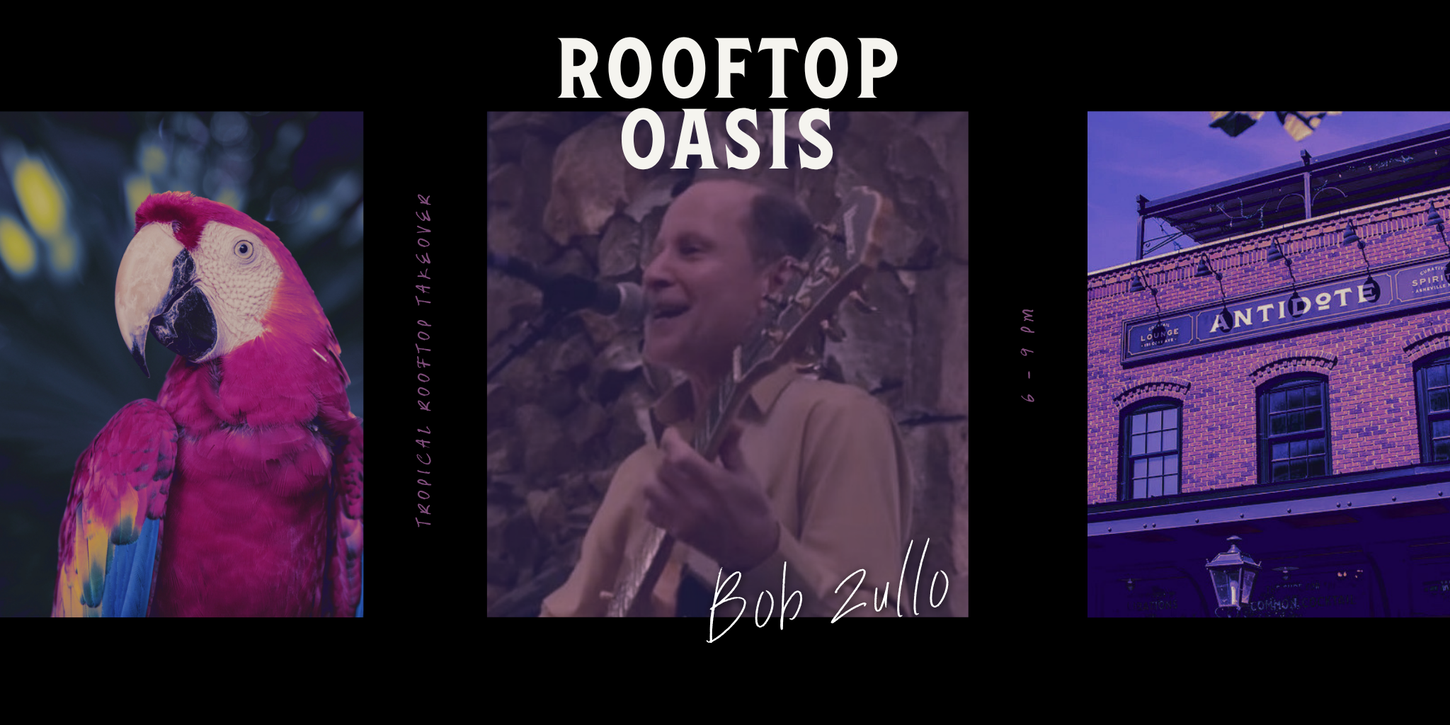 Rooftop Oasis: Bob Zullo