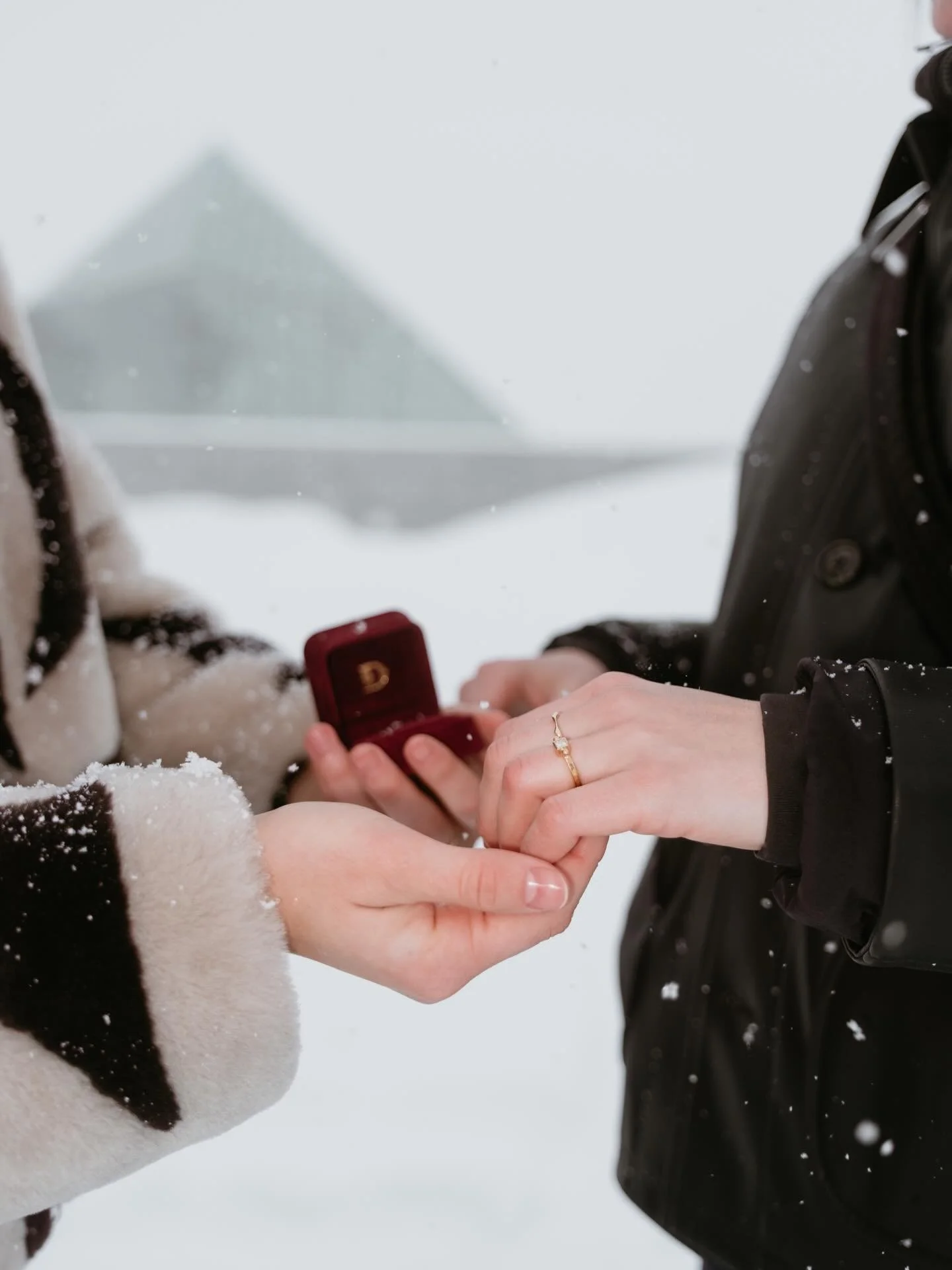 &ldquo;Reginella&rdquo; in love illuminated. Happy Valentine&rsquo;s Day.

#22karatgold #diamond #handcrafted