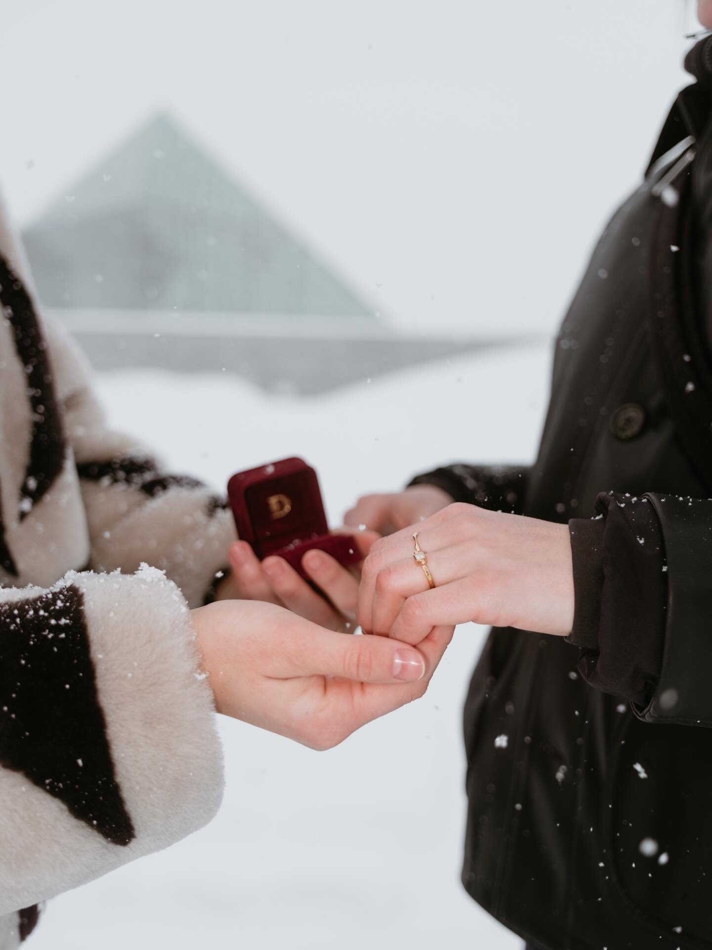 &ldquo;Reginella&rdquo; in love illuminated. Happy Valentine&rsquo;s Day.

#22karatgold #diamond #handcrafted