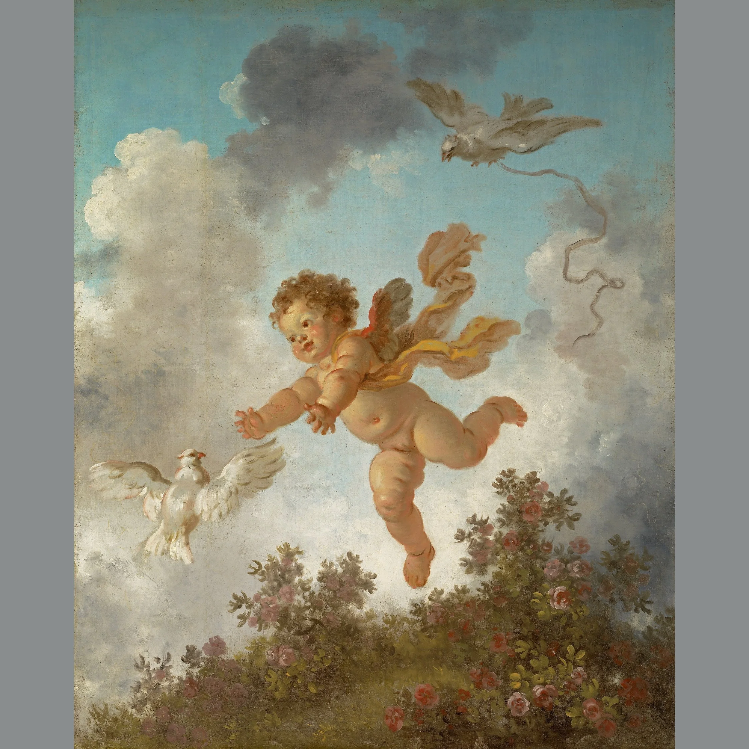 LOVEPURSUING A DOVE WEB.jpeg
