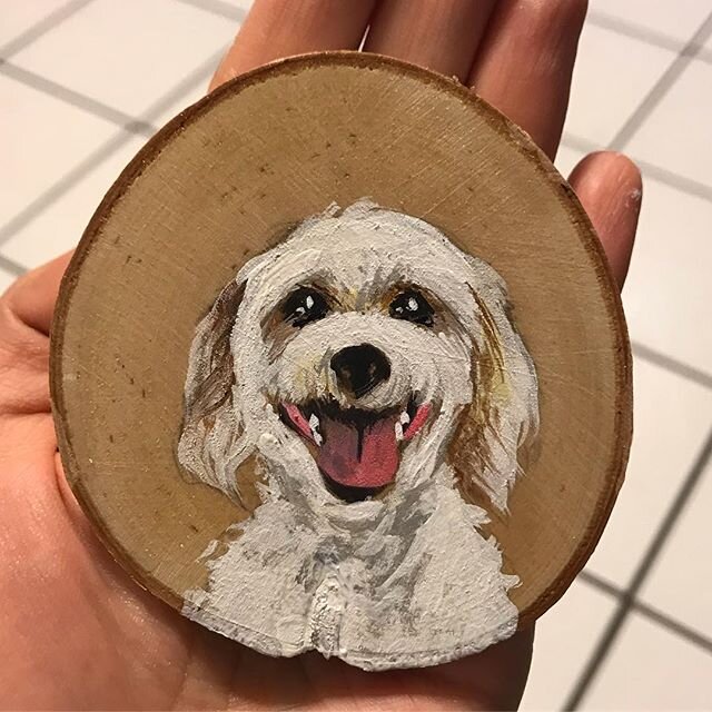 A sweet doggo smile