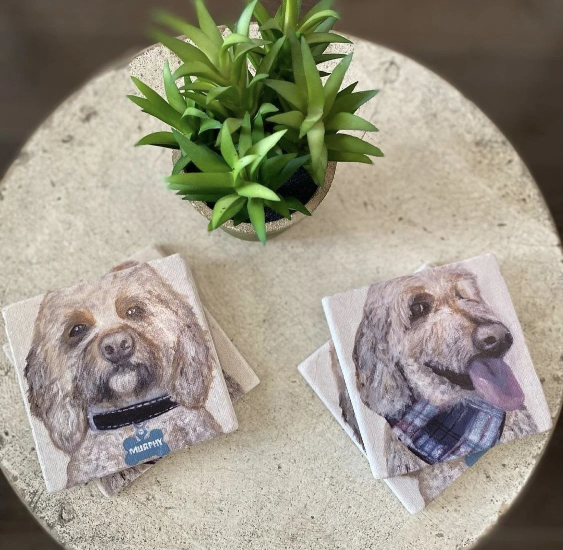 Murphy (Coaster Set) - SOLD 