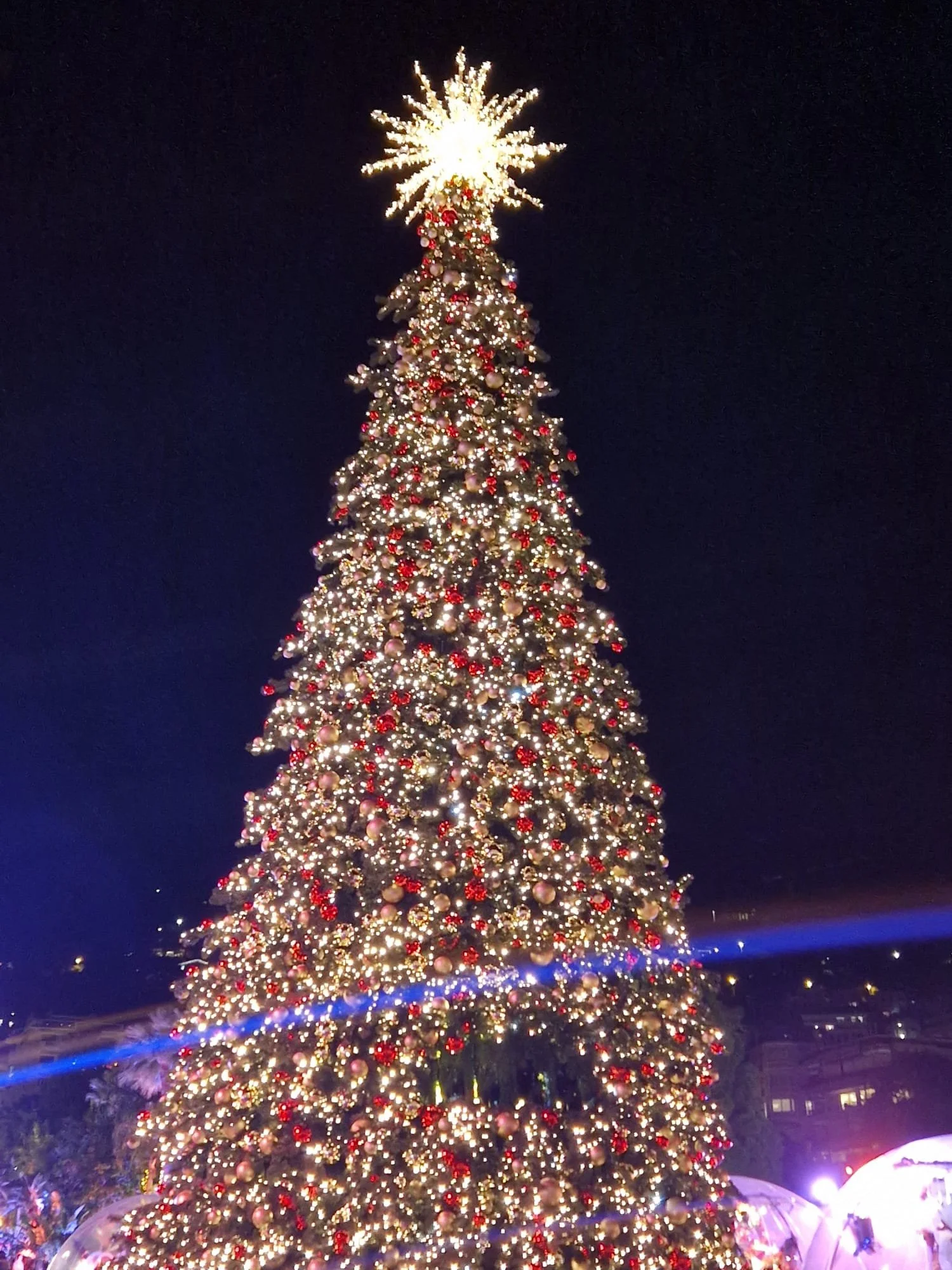 Image - Monaco Christmas Tree.jpg