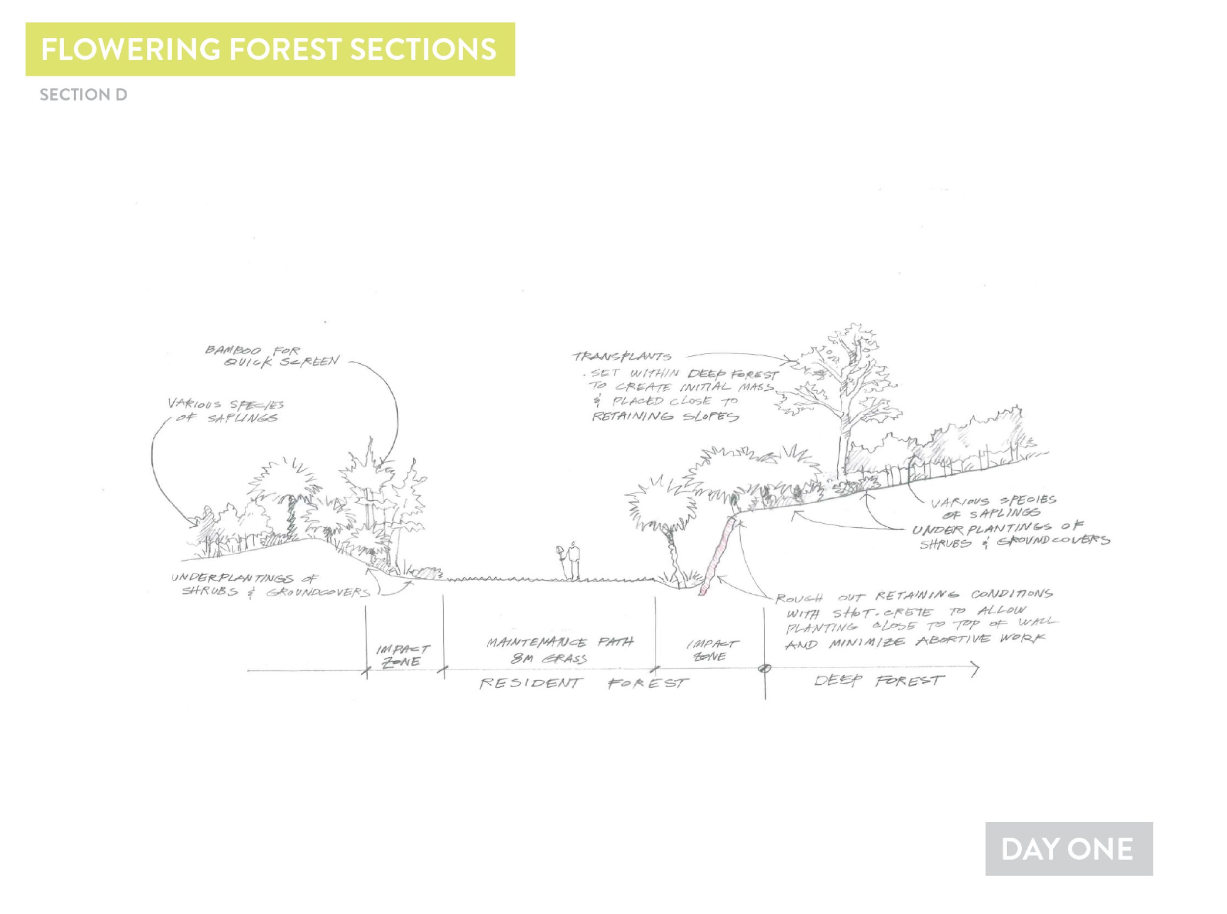 Deep Forest Concepts5.jpg