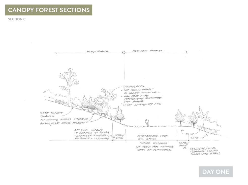 Deep Forest Concepts11.jpg