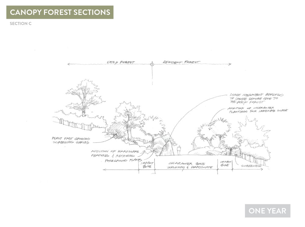 Deep Forest Concepts12.jpg